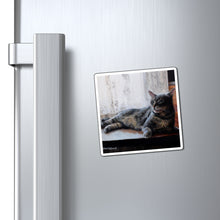 Load image into Gallery viewer, "Benjamin Kitty" Art of Bruce Strickland Collection - Magnet