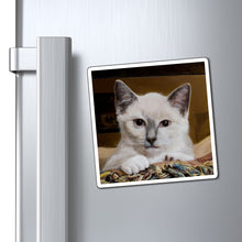 Load image into Gallery viewer, "Happy Place" Art of Bruce Strickland Collection - Magnet