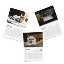 Load image into Gallery viewer, "Art of Bruce Strickland - Only Cats Allowed" Calendar (2025)