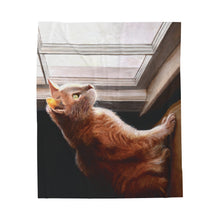 Load image into Gallery viewer, "Purrfect View" Velveteen Plush Blanket featuring the art of Bruce Strickland
