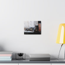 Load image into Gallery viewer, "Benjamin Kitty" Art of Bruce Strickland - Canvas Gallery Wraps