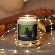 Load image into Gallery viewer, "Morning Sun" Art of Bruce Strickland Collection Scented Soy Candle, 9oz