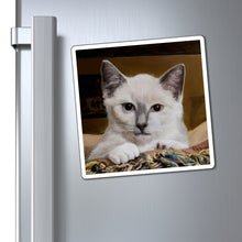 Load image into Gallery viewer, "Happy Place" Art of Bruce Strickland Collection - Magnet