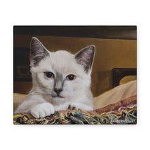 Load image into Gallery viewer, "Happy Place" Art of Bruce Strickland - Canvas Gallery Wraps