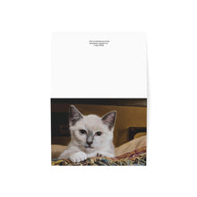 Load image into Gallery viewer, "Happy Place - Art of Bruce Strickland" Greeting Card 7x5