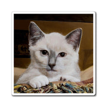 Load image into Gallery viewer, "Happy Place" Art of Bruce Strickland Collection - Magnet