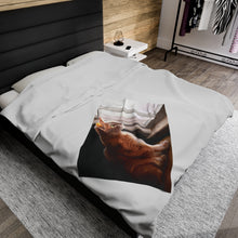 Load image into Gallery viewer, "Purrfect View" Velveteen Plush Blanket featuring the art of Bruce Strickland