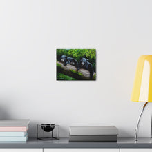 Load image into Gallery viewer, "Bear Necessities" Art of Bruce Strickland - Canvas Gallery Wraps