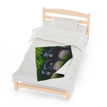 Load image into Gallery viewer, "Bear Necessities" Velveteen Plush Blanket featuring the art of Bruce Strickland