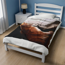Load image into Gallery viewer, "Purrfect View" Velveteen Plush Blanket featuring the art of Bruce Strickland