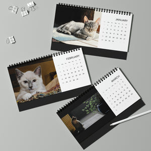 "Art of Bruce Strickland - Only Cats Allowed" Desktop Calendar (2024 grid)