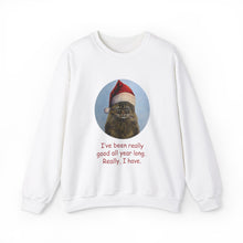 Load image into Gallery viewer, I&#39;ve been really good all year long, Christmas Cat Sweatshirt,Cat Lover Sweatshirt,Christmas Gift for Cat Lover,Cat Mom,Cat Lady Gift, Christmas Tabby Cat Sweatshirt