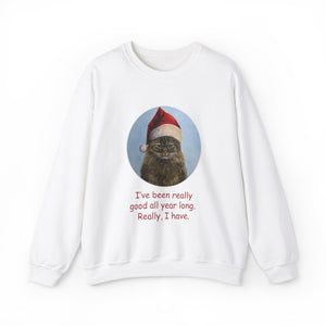 I've been really good all year long, Christmas Cat Sweatshirt,Cat Lover Sweatshirt,Christmas Gift for Cat Lover,Cat Mom,Cat Lady Gift, Christmas Tabby Cat Sweatshirt