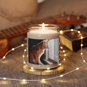 "Purrfect View" Art of Bruce Strickland Collection Scented Soy Candle, 9oz