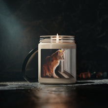 Load image into Gallery viewer, &quot;Purrfect View&quot; Art of Bruce Strickland Collection Scented Soy Candle, 9oz