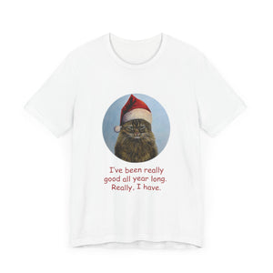 I've been really good, Christmas Cat Tshirt, Christmas Cat Shirt, Cat T-shirt, Cat Lover T-shirt, Cat Lady Tshirt, Christmas Gift for Cat Lover,Cat Mom