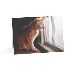 "Purrfect View - Art of Bruce Strickland" Greeting Card 7x5