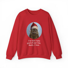 Load image into Gallery viewer, I&#39;ve been really good all year long, Christmas Cat Sweatshirt,Cat Lover Sweatshirt,Christmas Gift for Cat Lover,Cat Mom,Cat Lady Gift, Christmas Tabby Cat Sweatshirt