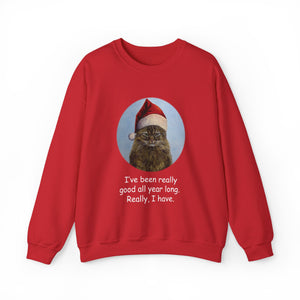 I've been really good all year long, Christmas Cat Sweatshirt,Cat Lover Sweatshirt,Christmas Gift for Cat Lover,Cat Mom,Cat Lady Gift, Christmas Tabby Cat Sweatshirt