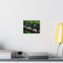 Load image into Gallery viewer, &quot;Bear Necessities&quot; Art of Bruce Strickland - Canvas Gallery Wraps