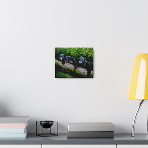 "Bear Necessities" Art of Bruce Strickland - Canvas Gallery Wraps