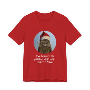 I've been really good, Christmas Cat Tshirt, Christmas Cat Shirt, Cat T-shirt, Cat Lover T-shirt, Cat Lady Tshirt, Christmas Gift for Cat Lover,Cat Mom