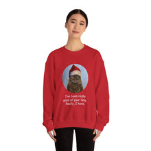 Load image into Gallery viewer, I&#39;ve been really good all year long, Christmas Cat Sweatshirt,Cat Lover Sweatshirt,Christmas Gift for Cat Lover,Cat Mom,Cat Lady Gift, Christmas Tabby Cat Sweatshirt