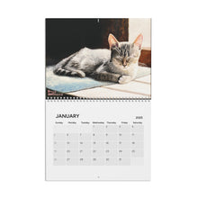 Load image into Gallery viewer, &quot;Art of Bruce Strickland - Only Cats Allowed&quot; Calendar (2025)