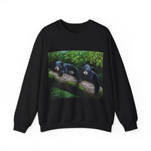 Load image into Gallery viewer, Bear Print Sweatshirt, Bear Sweatshirt, Black Bear Sweatshirt , T shirt For Black Bear Lover, Bear TShirt, Fine Art T-Shirt For Bear Lover