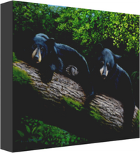 Load image into Gallery viewer, Bear Necessities Canvas Prints