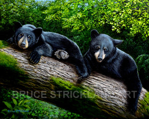 Bear Necessities Canvas Prints