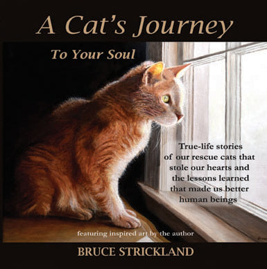 A Cat's Journey To Your Soul