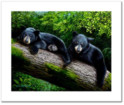 "Bear Necessities" Giclee Prints