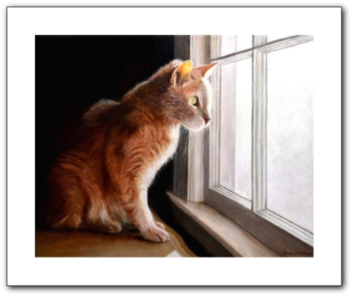 Purrfect View Giclee Prints